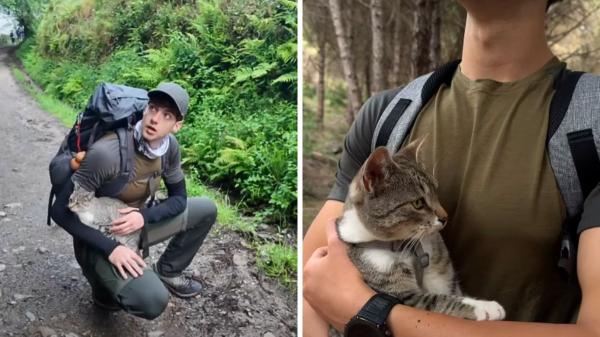 “Se había autoadoptado y se lo merecía”: Julio detuvo el Camino de Santiago para adoptar a un gato que lo siguió 15 km