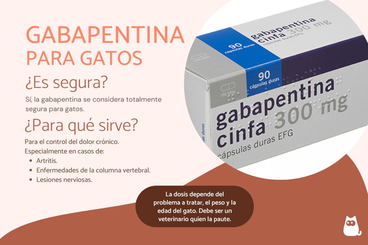 Gabapentina para gatos: dosis y usos