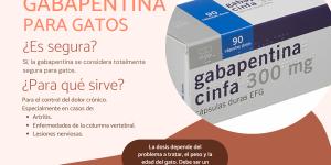 Gabapentina para gatos: dosis y usos