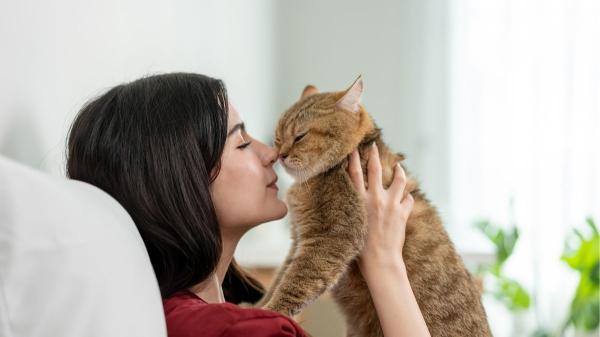 Manuel Manzano, veterinario: “Los gatos suelen elegir como persona favorita a la que se muestra un poco más distante”