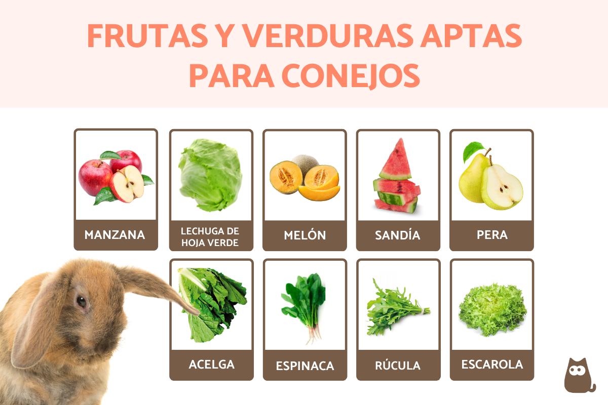 Frutas y verduras recomendadas para conejos