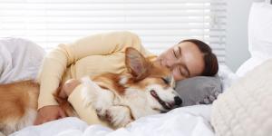 Los veterinarios coinciden: “Si tu perro deja de dormir contigo, no significa que te quiera menos”