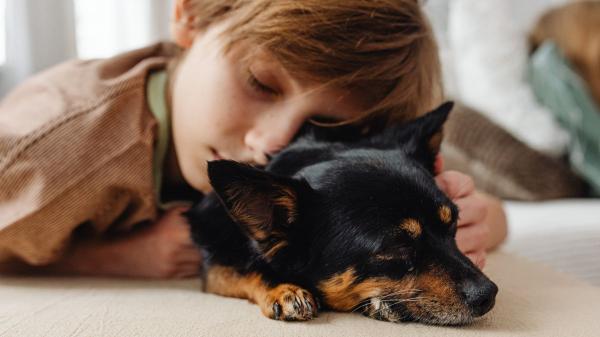 Los veterinarios coinciden: “Si tu perro deja de dormir contigo, no significa que te quiera menos” - Mudanza, bebé o nueva mascota: por qué tu perro puede cambiar de sitio para dormir