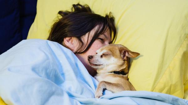 Los veterinarios coinciden: “Si tu perro deja de dormir contigo, no significa que te quiera menos” - No siempre es falta de cariño: tu perro senior puede dormir lejos por dolor o pérdida de movilidad