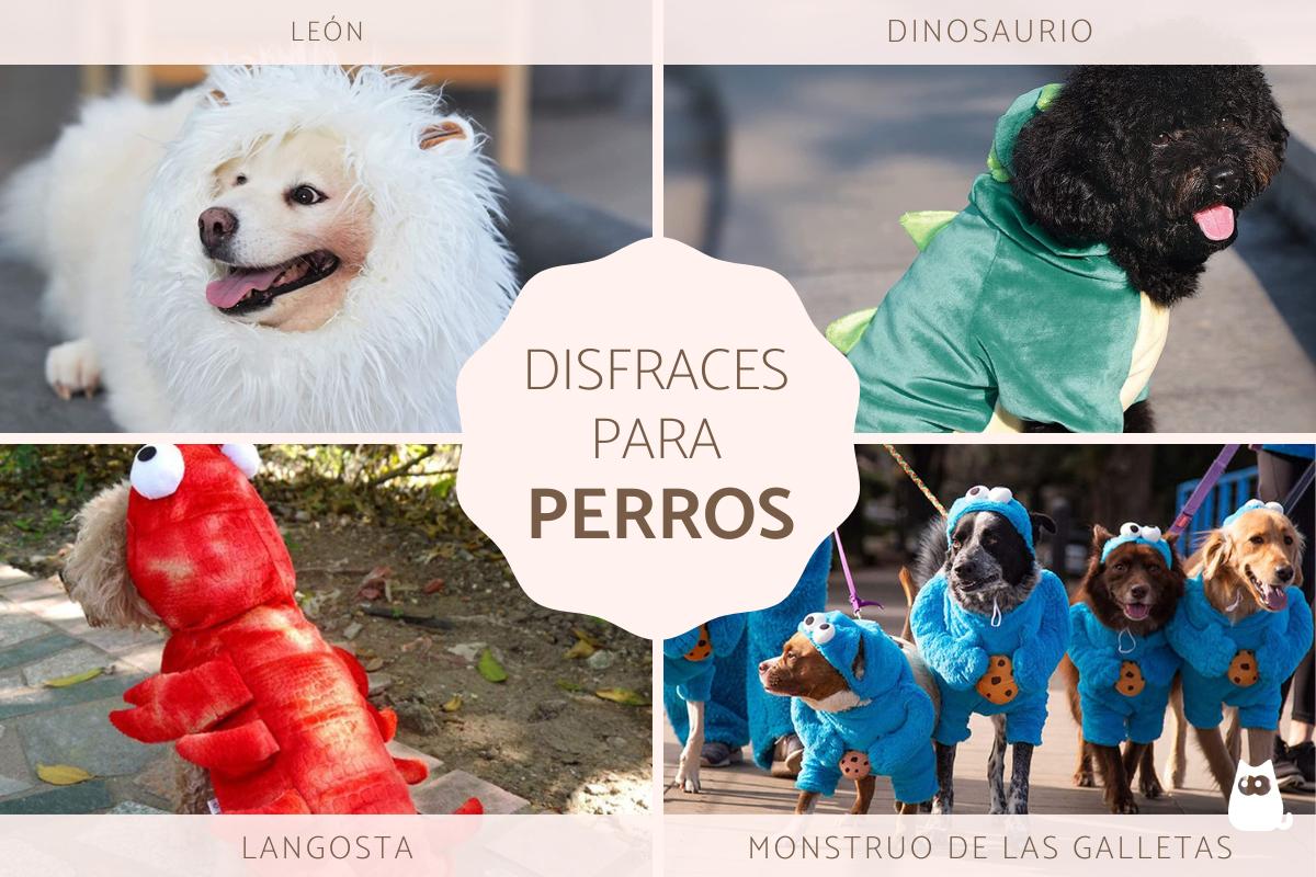 Disfraces para perros grandes y pequeños