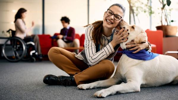 Lo abandonaron con dos días de vida y hoy es un perro terapeuta que ayuda a muchas personas: la emotiva historia de Haru - Las terapias asistidas con animales mejoran la salud emocional y el bienestar de las personas