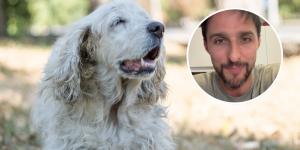 Juan Manuel Liquindoli, educador canino: “Que un perro envejezca no significa que disfrute menos de la vida, sino que necesita que adaptemos sus cuidados para mejorar su bienestar”