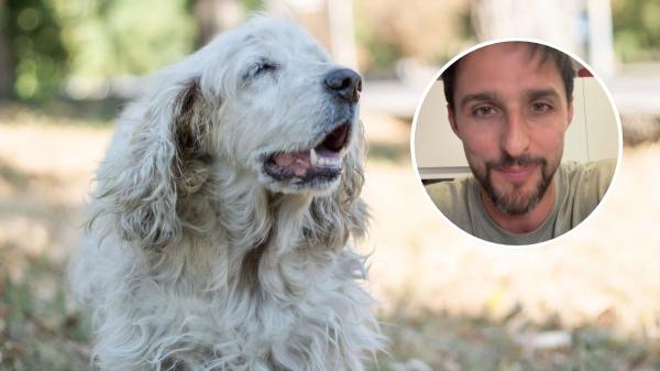 Juan Manuel Liquindoli, educador canino: “Que un perro envejezca no significa que disfrute menos de la vida, sino que necesita que adaptemos sus cuidados para mejorar su bienestar”