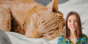 Soy etóloga felina y te explico por qué los gatos duermen tanto (y cuándo deberías prestar atención): "No es solo sueño, hay más motivos detrás"