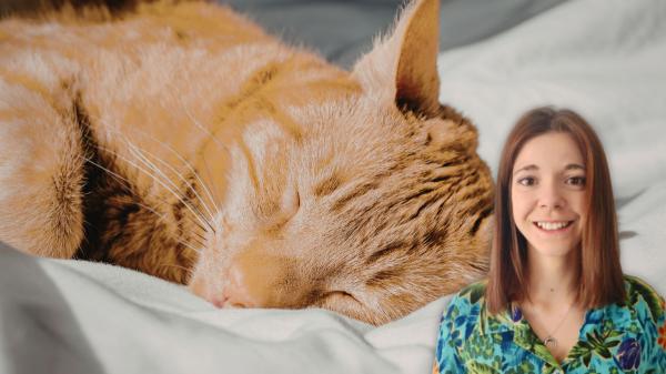 Soy etóloga felina y te explico por qué los gatos duermen tanto (y cuándo deberías prestar atención): "No es solo sueño, hay más motivos detrás"