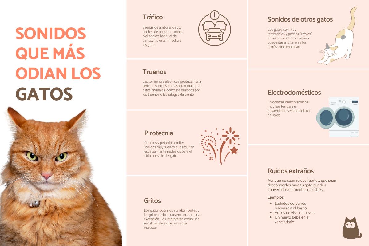 Sonidos que molestan a los gatos