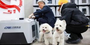 China da un paso más y mejora el servicio para viajar con mascotas en trenes de alta velocidad