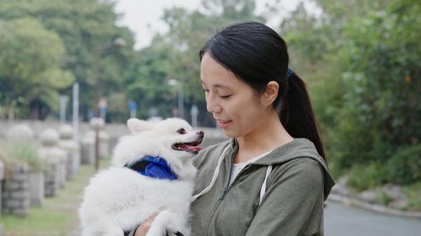 China da un paso más y mejora el servicio para viajar con mascotas en trenes de alta velocidad - ¿Llegará este modelo a otros países? La nueva era de los viajes con mascotas