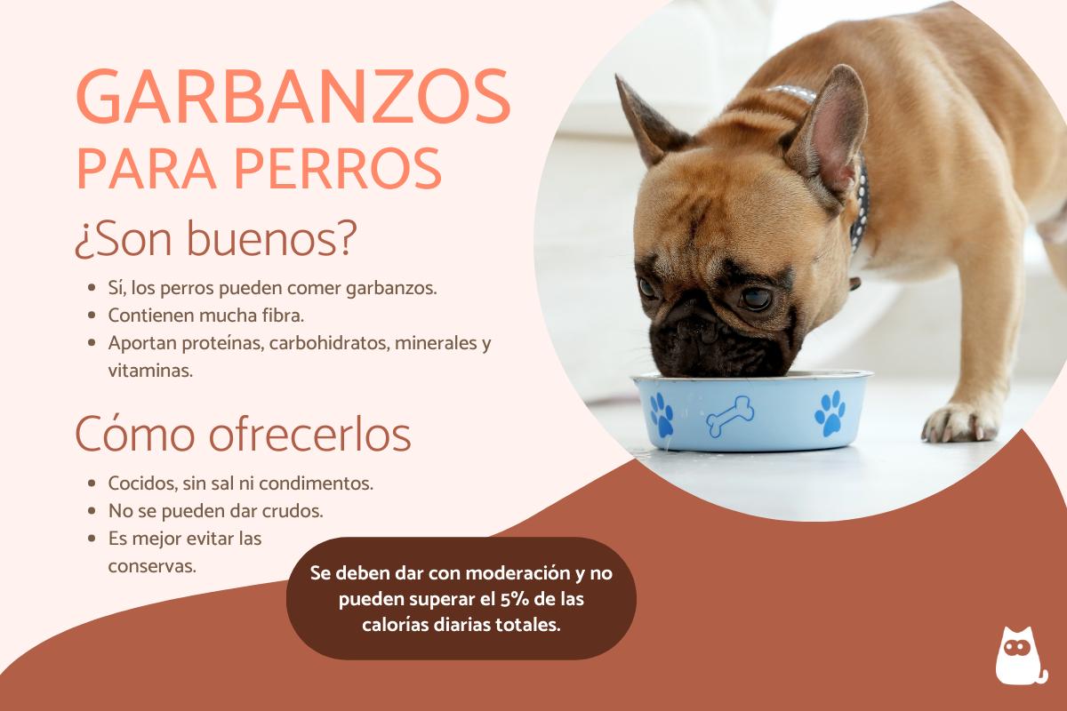¿Pueden comer garbanzos los perros?