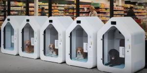 Adiós a dejar al perro atado fuera del súper: así funcionan las cabinas inteligentes que ya se pueden ver en Alemania