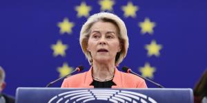 La UE endurece las normas para la cría de perros y gatos y, a partir de 2028, no podrán tener más de tres camadas en dos años
