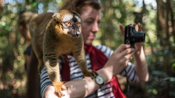 Qué significa realmente que los animales se acerquen a ti (no es casualidad) - Comportamientos defensivos o territoriales en los animales