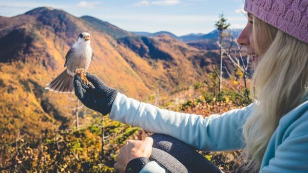 Qué significa realmente que los animales se acerquen a ti (no es casualidad) - Habituación: cuando los animales pierden el miedo