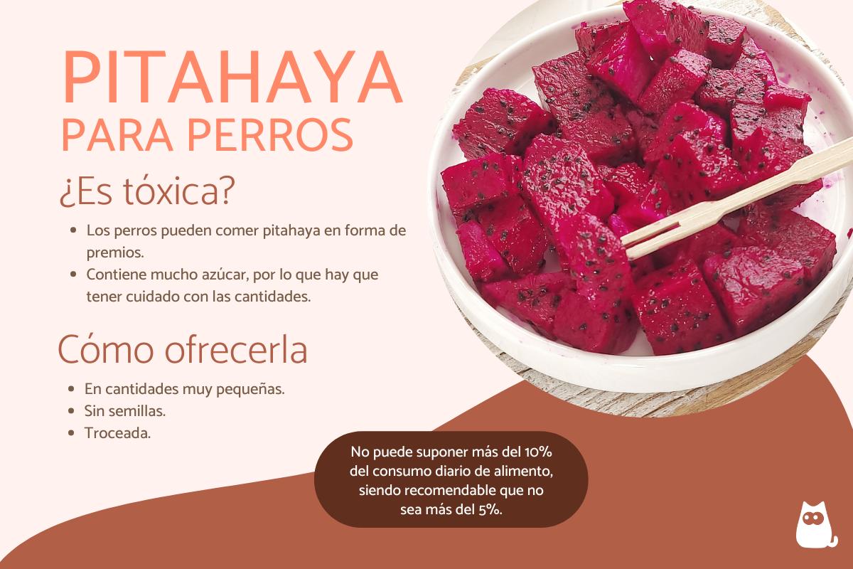 ¿Los perros pueden comer pitahaya?
