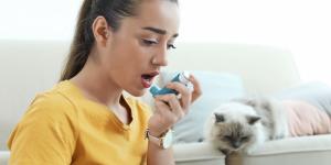 Los veterinarios coinciden: los dueños de gatos tienen hasta un 68% menos de probabilidad de desarrollar asma