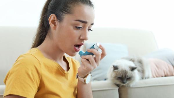 Los veterinarios coinciden: los dueños de gatos tienen hasta un 68% menos de probabilidad de desarrollar asma