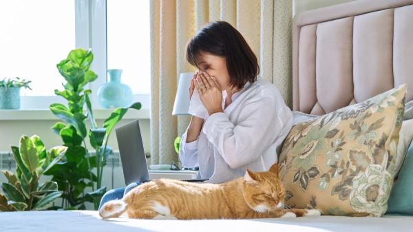 Los veterinarios coinciden: los dueños de gatos tienen hasta un 68% menos de probabilidad de desarrollar asma - Por qué convivir con gatos podría proteger frente al asma