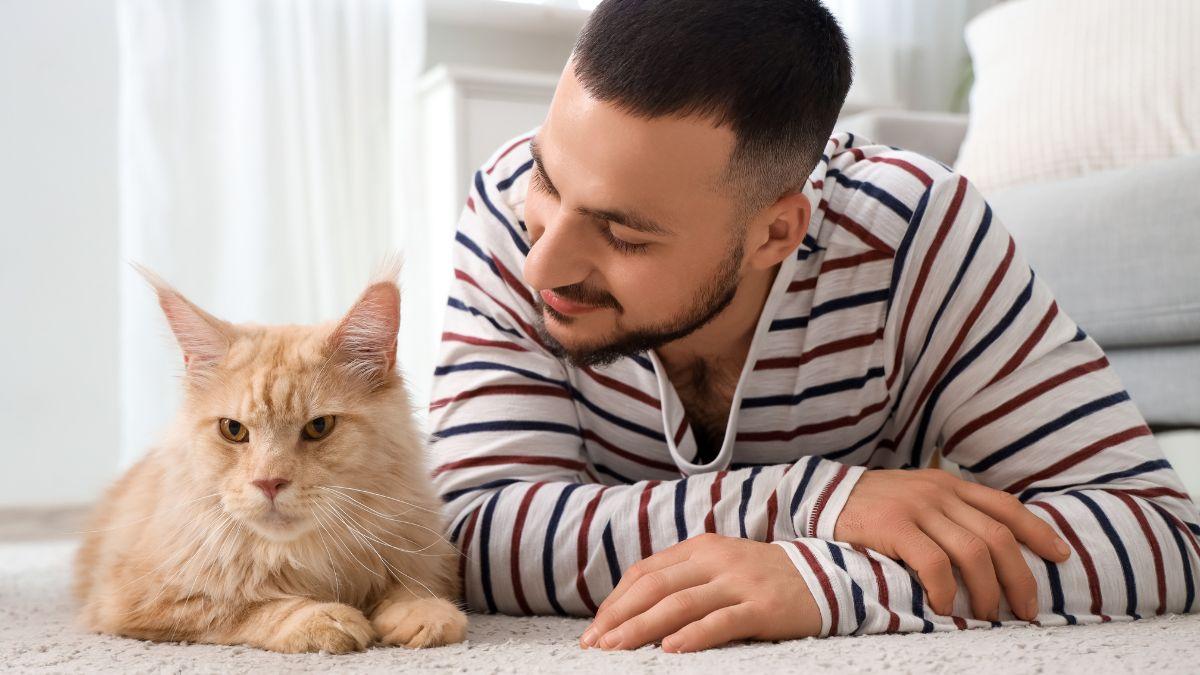 Carlos Gutiérrez, veterinario: “Muchos problemas de conducta en gatos tienen que ver con cambios en su entorno”
