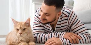 Carlos Gutiérrez, veterinario: “Muchos problemas de conducta en gatos tienen que ver con cambios en su entorno”