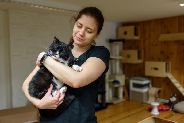 No puedo tener a mi gato, ¿dónde lo puedo dejar? - Opción 4: entrega en adopción