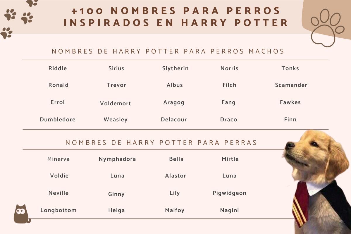 Nombres de Harry Potter para perros