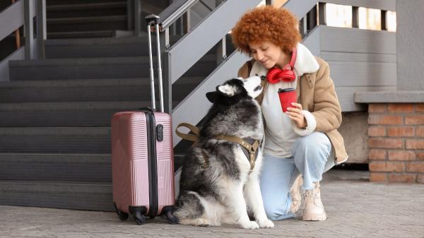 Entra hoy en vigor: las nuevas normas obligatorias de la UE para viajar con perros y gatos - El objetivo de la normativa europea sobre viajes con animales