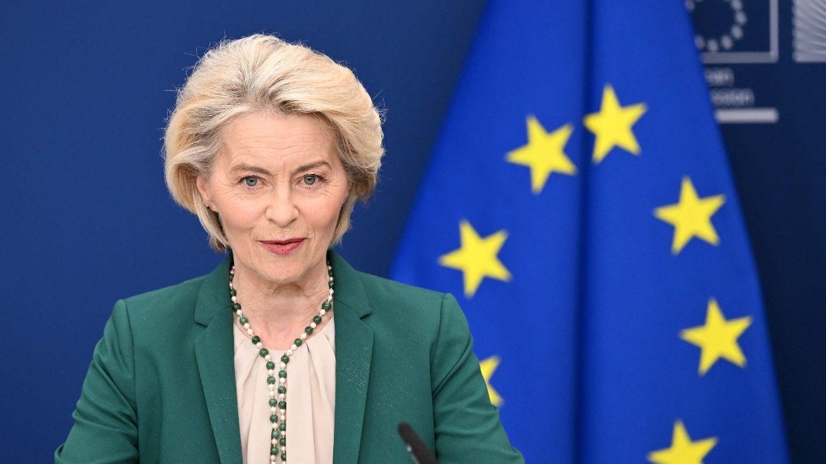 Entra hoy en vigor: las nuevas normas obligatorias de la UE para viajar con perros y gatos