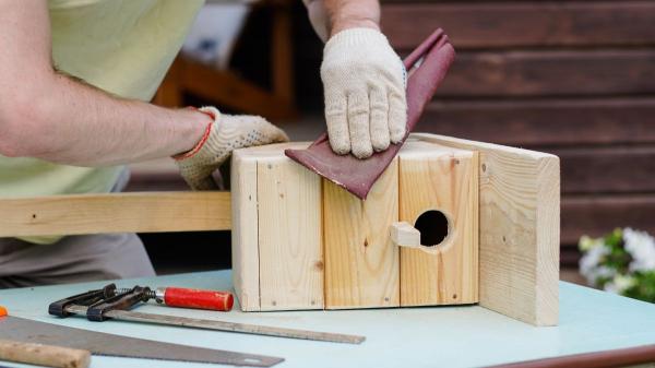 Cómo construir una caja nido para aves urbanas: la guía de la Sociedad Española de Ornitología para ayudar a los pájaros - Cómo limpiar y mantener en buenas condiciones un nido artificial