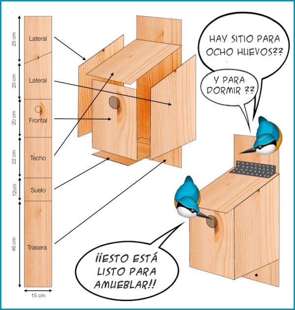 Cómo construir una caja nido para aves urbanas: la guía de la Sociedad Española de Ornitología para ayudar a los pájaros - Esto es lo que debe tener una caja nido para ser útil, según ornitólogos