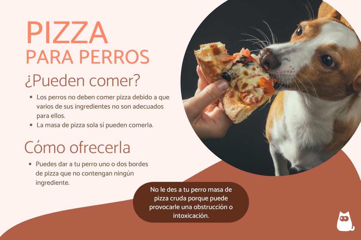 ¿Los perros pueden comer pizza?