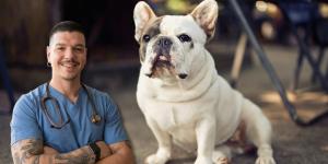 Adrián Conde, veterinario: “Los perros de morro chato tienen más problemas de salud y esto es por culpa del humano”