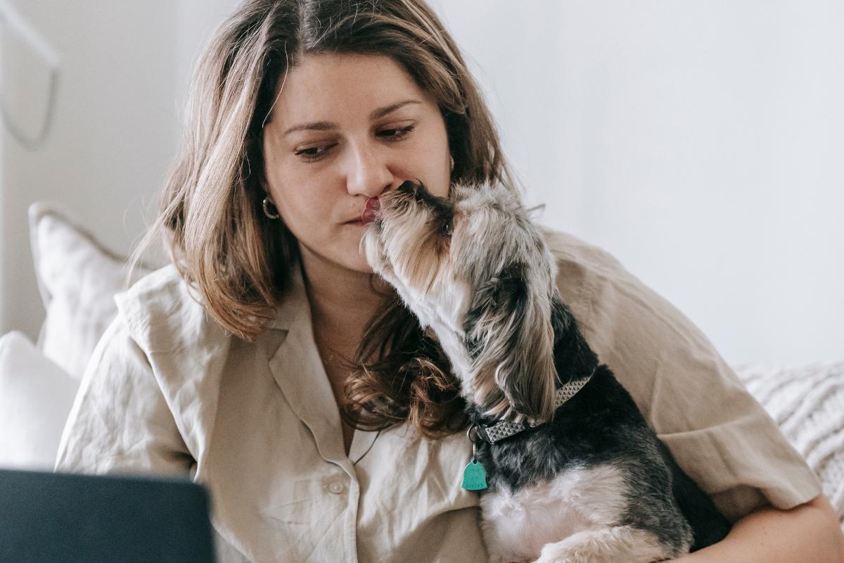 Enfermedades que transmiten los perros por la saliva