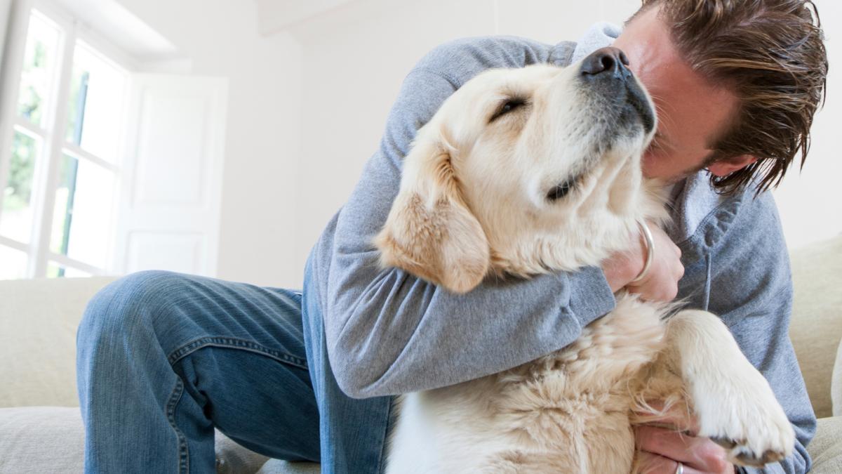 La ciencia lo confirma: las personas con perro tienen mejor salud cardiovascular y pueden vivir más años