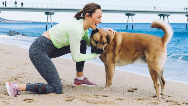 La ciencia lo confirma: las personas con perro tienen mejor salud cardiovascular y pueden vivir más años - Los perros nos ayudan a reducir el estrés y mejorar la salud mental