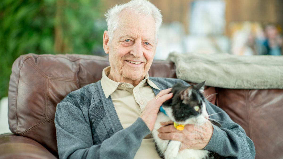 No es solo cosa de gatos: el estudio que podría ayudar a entender mejor el Alzheimer en humanos