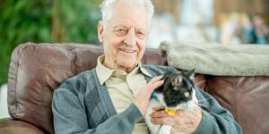No es solo cosa de gatos: el estudio que podría ayudar a entender mejor el Alzheimer en humanos