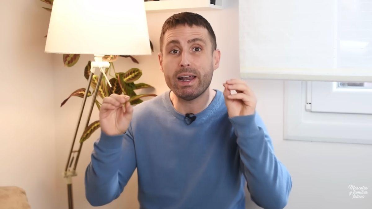 Carlos Gutiérrez, veterinario: “Tu gato está viviendo su mejor vida contigo si hace estos gestos cotidianos”