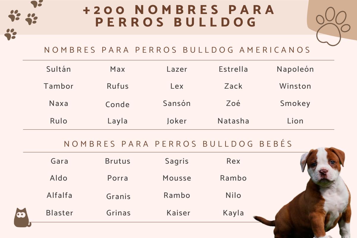 Nombres para perros bulldog