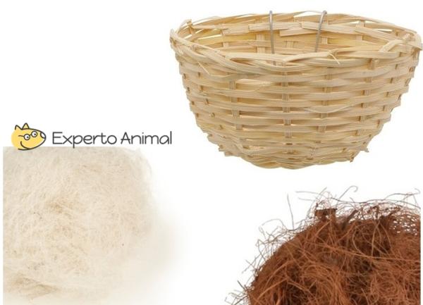 Alimentar y cuidar papilleros paso a paso - El nido del papillero