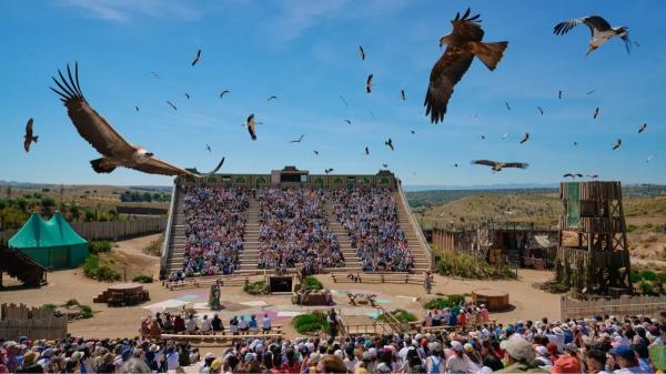 Puy du Fou España bajo investigación: despiden a tres empleados por enterrar animales dentro del parque - Las irregularidades que se han detectado en Puy du Fou