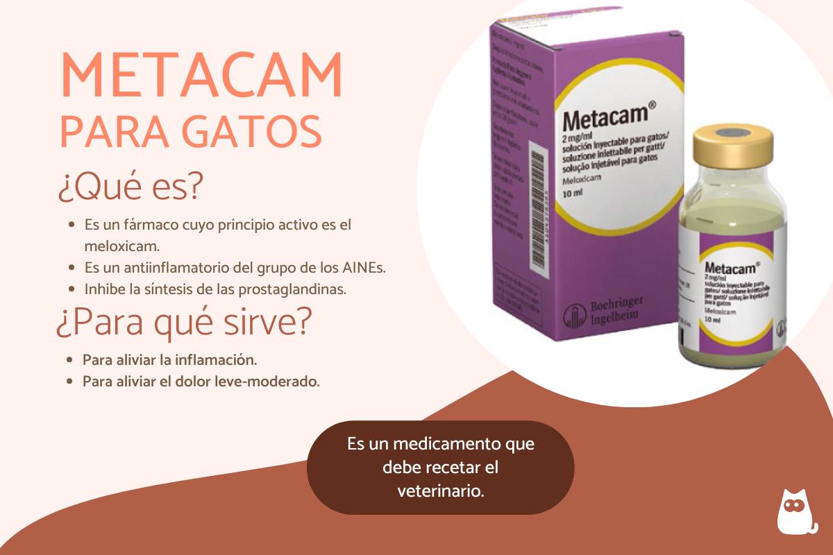 Metacam para gatos: precio, dosis y para qué sirve
