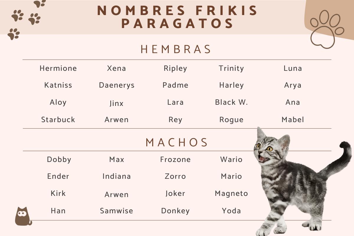Nombres frikis para gatos