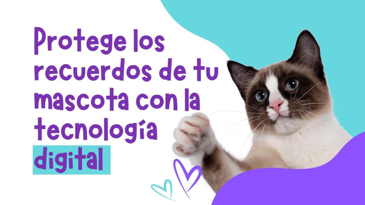 Protege los recuerdos de tu mascota con la tecnología digital