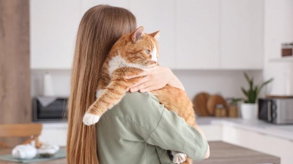 La ‘hormona del amor’ también se activa con cada mirada o caricia a tu perro o gato, según la ciencia - ¿Y los gatos? Un vínculo distinto, pero real