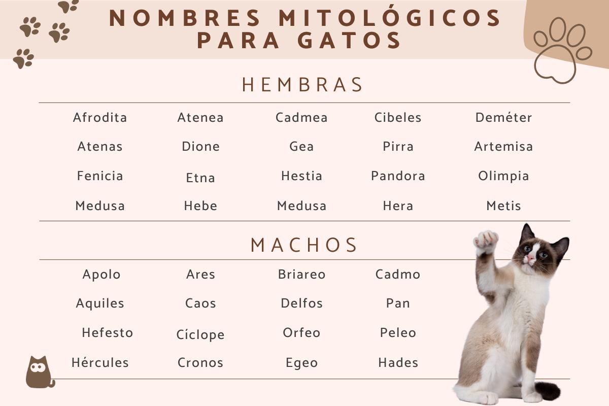 Nombres de la mitología griega para gatos y gatas
